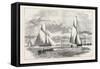 Prince of Wales Yacht Club Regatta: the Finish at Erith, 1876, Uk-null-Framed Stretched Canvas