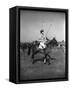 Prince Philips Rides Along on Horseback Holding Polo Stick During Game-null-Framed Stretched Canvas