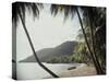 Prince Rupert Bay, Dominica-null-Stretched Canvas