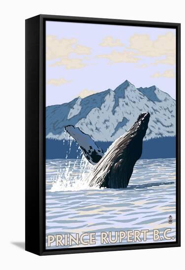 Prince Rupert, BC Canada - Humpback Whale-Lantern Press-Framed Stretched Canvas