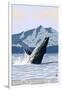 Prince Rupert, BC Canada - Humpback Whale-Lantern Press-Framed Art Print