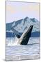 Prince Rupert, BC Canada - Humpback Whale-Lantern Press-Mounted Art Print