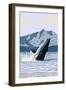 Prince Rupert, BC Canada - Humpback Whale-Lantern Press-Framed Art Print