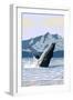 Prince Rupert, BC Canada - Humpback Whale-Lantern Press-Framed Art Print