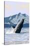 Prince Rupert, BC Canada - Humpback Whale-Lantern Press-Stretched Canvas