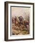 Prince Rupert of the Rhine Leads a Cavary Charge at the Battle of Edgehill-null-Framed Art Print