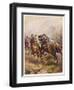 Prince Rupert of the Rhine Leads a Cavary Charge at the Battle of Edgehill-null-Framed Art Print