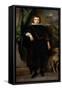 Prince Ruprecht Von Der Rfalz (Palatinate)-Sir Anthony Van Dyck-Framed Stretched Canvas