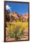 Prince's Plume Wild Flowers, Capitol Reef National Park, Utah-Michael DeFreitas-Framed Photographic Print