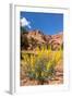 Prince's Plume Wild Flowers, Capitol Reef National Park, Utah-Michael DeFreitas-Framed Photographic Print