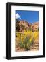 Prince's Plume Wild Flowers, Capitol Reef National Park, Utah-Michael DeFreitas-Framed Photographic Print