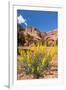 Prince's Plume Wild Flowers, Capitol Reef National Park, Utah-Michael DeFreitas-Framed Photographic Print