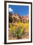 Prince's Plume Wild Flowers, Capitol Reef National Park, Utah-Michael DeFreitas-Framed Photographic Print