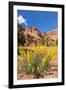 Prince's Plume Wild Flowers, Capitol Reef National Park, Utah-Michael DeFreitas-Framed Photographic Print