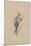 Prince Turveydrop, C.1920s-Joseph Clayton Clarke-Mounted Giclee Print