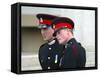 Prince William and Prince Harry after The Sovereign's Parade that marked the completion of Prince H-null-Framed Stretched Canvas