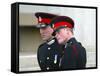 Prince William and Prince Harry after The Sovereign's Parade that marked the completion of Prince H-null-Framed Stretched Canvas