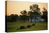 Prince William County, Manassas Battlefield Park, Hallowed Ground; Virginia, 2004 (Photo)-Kenneth Garrett-Stretched Canvas
