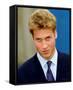 Prince William-null-Framed Stretched Canvas