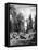 Princely Garden in Cairo, Egypt, 1880-null-Framed Stretched Canvas