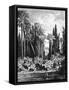 Princely Garden in Cairo, Egypt, 1880-null-Framed Stretched Canvas