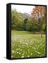 Princes Street Gardens and Edinburgh Castle, Edinburgh, Lothian, Scotland, Uk-null-Framed Stretched Canvas