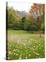 Princes Street Gardens and Edinburgh Castle, Edinburgh, Lothian, Scotland, Uk-null-Stretched Canvas