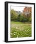 Princes Street Gardens and Edinburgh Castle, Edinburgh, Lothian, Scotland, Uk-null-Framed Photographic Print