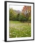 Princes Street Gardens and Edinburgh Castle, Edinburgh, Lothian, Scotland, Uk-null-Framed Photographic Print