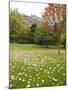 Princes Street Gardens and Edinburgh Castle, Edinburgh, Lothian, Scotland, Uk-null-Mounted Photographic Print