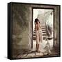 Princess and the Swan-Dmitry Laudin-Framed Stretched Canvas