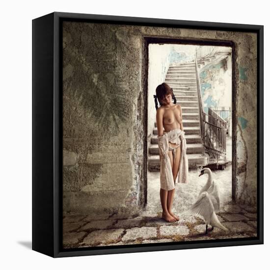 Princess and the Swan-Dmitry Laudin-Framed Stretched Canvas