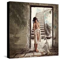 Princess and the Swan-Dmitry Laudin-Stretched Canvas