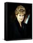 Princess Diana at the Relaunch of Birthright Charity November 1993-null-Framed Stretched Canvas