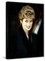 Princess Diana at the Relaunch of Birthright Charity November 1993-null-Stretched Canvas