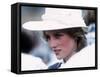 Princess Diana in Canada in Campbellton June 1983-null-Framed Stretched Canvas