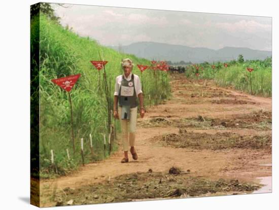 Princess Diana in Minefield Outside Haunbo Angola Endorsing the Red Cross Campaign-null-Stretched Canvas