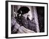 Princess Diana Turns on the Christmas Lights on Regent Street-null-Framed Photographic Print