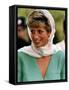 Princess Diana-null-Framed Stretched Canvas