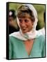 Princess Diana-null-Framed Stretched Canvas