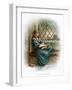 Princess Elizabeth, 1897-Frances Brundage-Framed Giclee Print