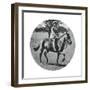 Princess Elizabeth on Horseback, Windsor Great Park, 1935-null-Framed Giclee Print