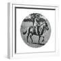 Princess Elizabeth on Horseback, Windsor Great Park, 1935-null-Framed Giclee Print