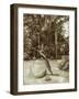 Princess Ka-null-Framed Photographic Print