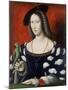 Princess Marguerite of Angouleme, C.1530-Jean Clouet-Mounted Giclee Print