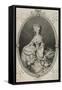 Princess Marie Louise of Savoy (1749-1792)-null-Framed Stretched Canvas