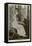 Princess Mary of the United Kingdom, C1910s-null-Framed Stretched Canvas