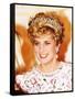 Princess of Wales in Korea Princess Diana November 1992-null-Framed Stretched Canvas