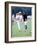 Princess of Wales with Prince Harry and Prince William at a polo match at Windsor-null-Framed Photographic Print