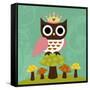 Princess Owl-Nancy Lee-Framed Stretched Canvas